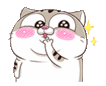 :Amimacco: