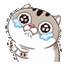 :Aminanni: